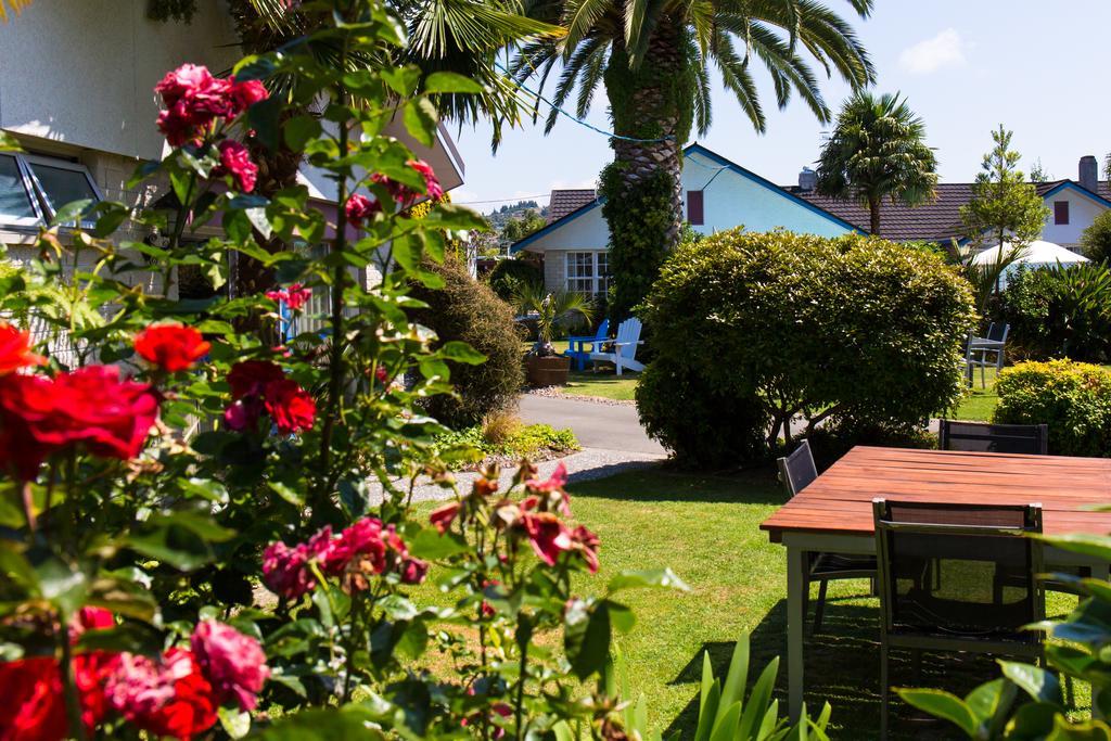 Asure Colonial Napier